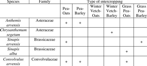 Herbaceous plant species in the study area. | Download Table