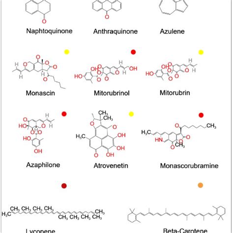 Hypothetical pathway of Monascus pigment and citrinin biosynthesis. The... | Download Scientific ...