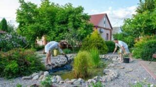 How to Dredge a Pond Yourself (5 Easy DIY Methods) - My Backyard Life