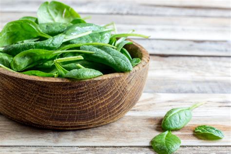 14 Spinach Plant Care Tips