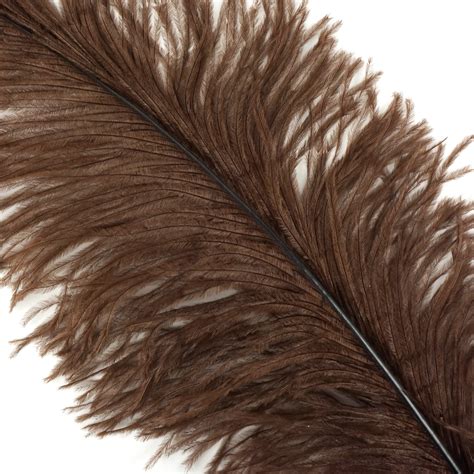 Ostrich Feathers Brown Ostrich Feather Spads 18-24 | Etsy