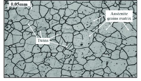 Microstructure of the base metal [8]. | Download Scientific Diagram