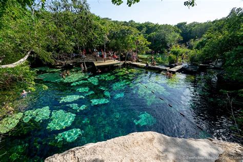 13 Melhores Cenotes perto de Playa Del Carmen (2021) | Guinguette Marais Poitevin