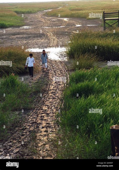 Dongtan - Eco-city Project Stock Photo - Alamy