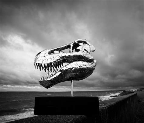 T-Rex Skull - Michael Turner Art and Sculptures for your home