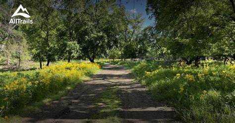 Best hikes and trails in Elmwood Park | AllTrails