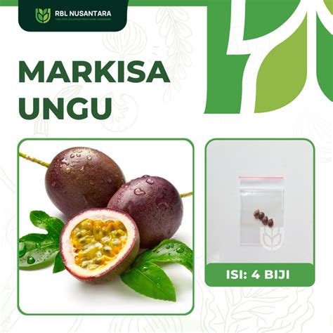 Jual 4 Benih Buah Markisa Ungu Unggul Peakarangan Mudah Tumbuh | Shopee ...