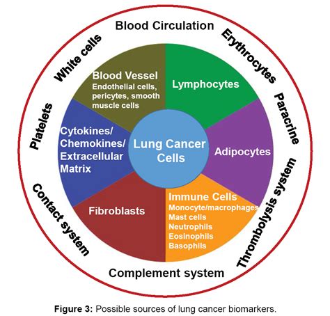 Tumor-Dependent and -Independent Serum/Plasma Biomarkers for Early Diagnosis of Lung Cancer ...