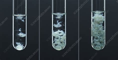 Iron (II) phosphate precipitate - Stock Image - C030/7590 - Science ...