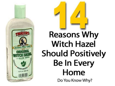 14 Reasons Why Witch Hazel Should Positively Be In Every Home