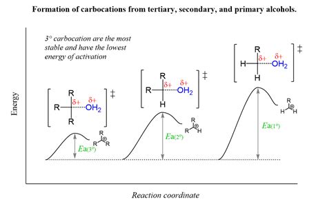 The Secondary Carbocation in the Reaction Is the