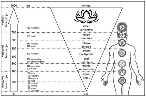 David Hawkins Scale of Consciousness