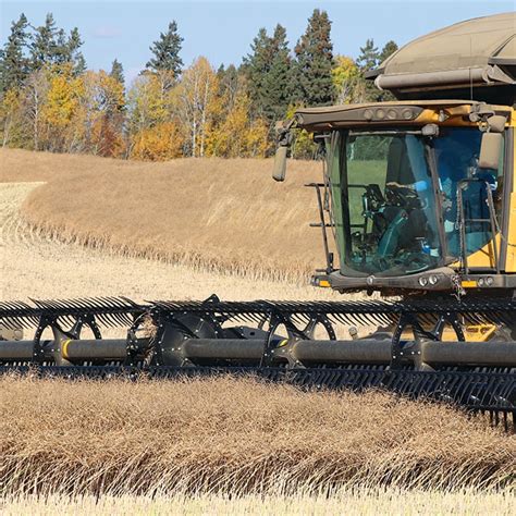 Canola views - photo essay | The Western Producer