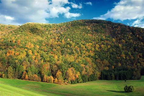 Sinnemahoning State Park (2) | View from the George B. Steve… | Flickr