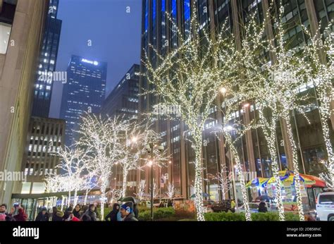 NYC Manhattan Street Trees Decorated with Bright Lights During ...