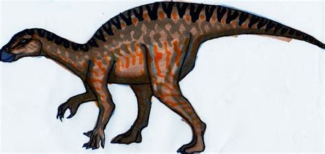 Rhabdodon Pictures & Facts - The Dinosaur Database