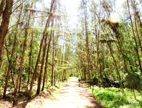 Take a Nature walk at Butterfly Pavilion, Bamburi nature trail