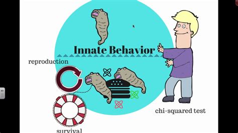 Innate Behavior (IB Biology) - YouTube