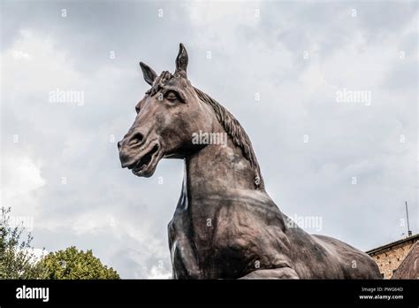 Bronze horse statue based on the design by Leonardo Da Vinci Stock ...