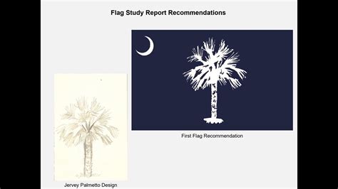 South Carolina lawmakers working to make one standard state flag | wltx.com