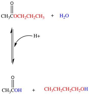 Divine Hydrolysis Chemical Equation Vectors In Mathematics Pdf