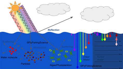 Light attenuation in water – Fly Fishing Science