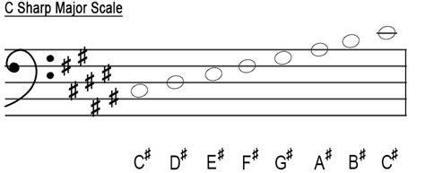 The major scales - Bass clef - Music