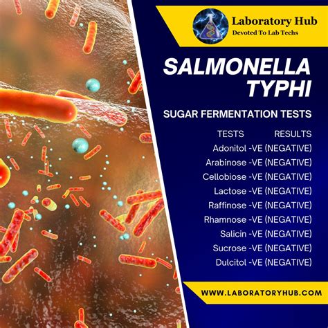 Laboratory Hub on Twitter: "SALMONELLA TYPHI: Sugar Fermentation Tests ...