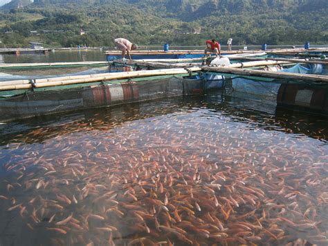 Keindahan Melegenda Waduk Gajah Mungkur - SOLO.co.id