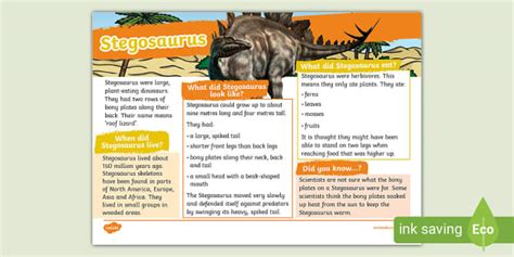 Stegosaurus Fact File (teacher made) - Twinkl