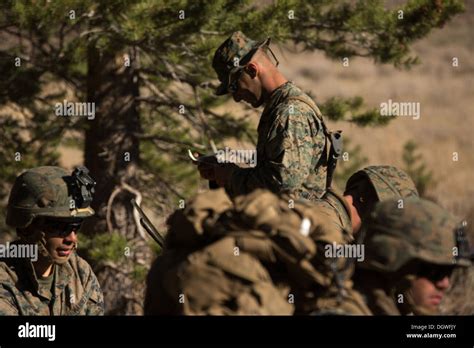 U.S. Marines from 1st Battalion, 5th Marine Regiment (1/5), 1st Marine ...