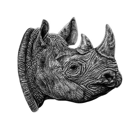 Black rhino - animal ink illustration Drawing by Loren Dowding - Pixels