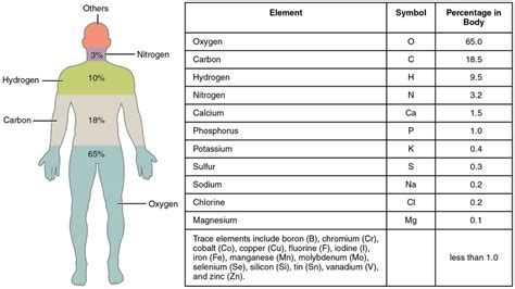 Oxygen - Physiopedia