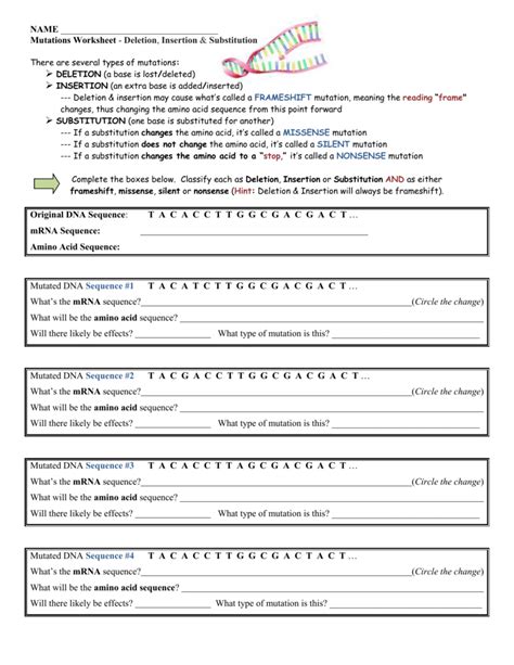 Mutations Worksheet 9th Grade