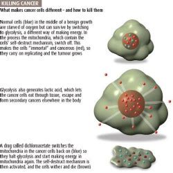 DCA Cancer treatment cure or just more hype? - CANCER