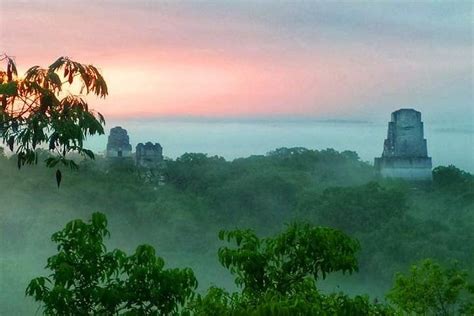 2024 Tikal Sunrise tour from Flores provided by Gray Line Guatemala