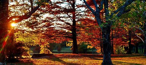 Arkansas Storm Team Blog: Fall colors peak across Arkansas