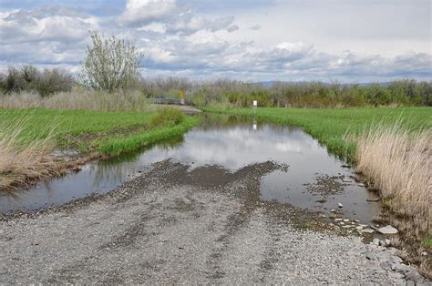 Toppenish Wildlife Refuge – Just Peachy