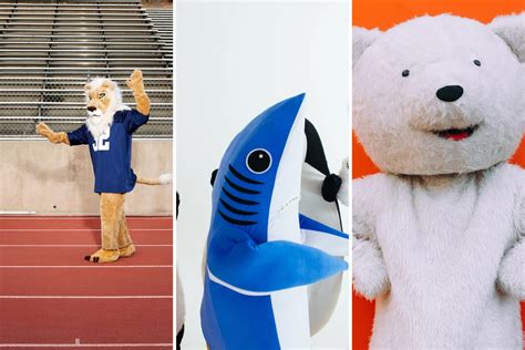 The 10 Most Unique Michigan High School Mascots