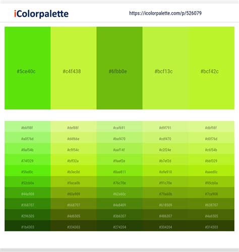 47 Latest Color Schemes with Bright Green Color tone combinations | 2024 | iColorpalette