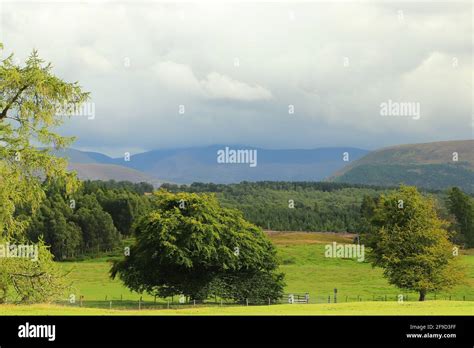 In and around Loch Insh Stock Photo - Alamy