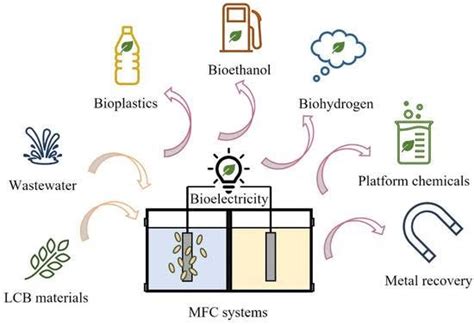 Environmental Biotechnology :. Environmental Biotechnology | by Biotech ...