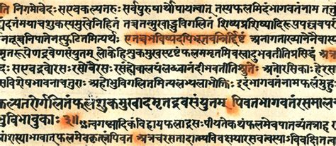 What Is Sanatan Dharm? | Radha Madhav Dham