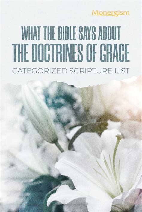 What The Bible Says About The Doctrines Of Grace: Categorized Scripture List: Categorized ...