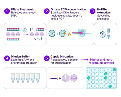 Protocol PCR Sample Prep Kit | Teknova