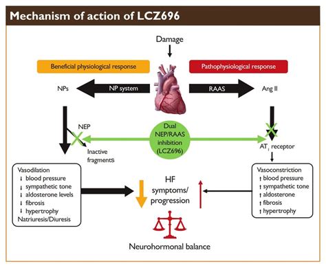 Schematic representation of the mechanism of action of... | Download ...