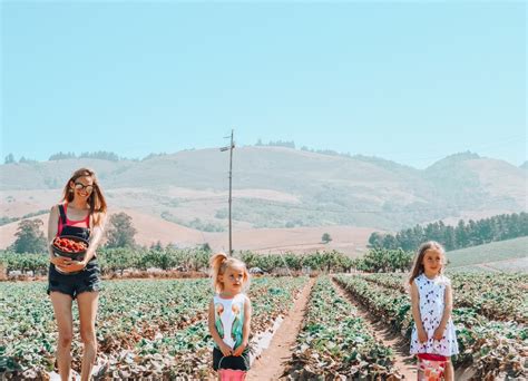 Strawberry Picking in Watsonville - ali-ish