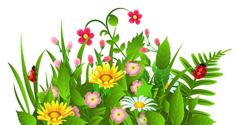 Free clip art graphics flowers free flower clipart cards clipartwiz - Clipartix
