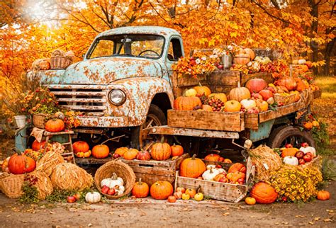 Kate Autumn Old Truck Pumpkins Backdrop for Photography