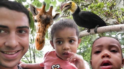 New York City's Bronx Zoo adventures with the Kids! - YouTube